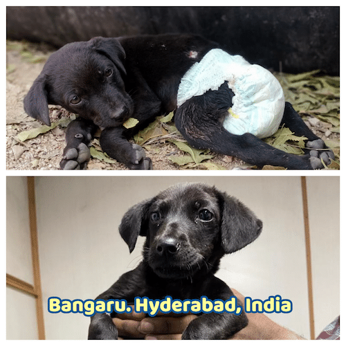 Bangaru