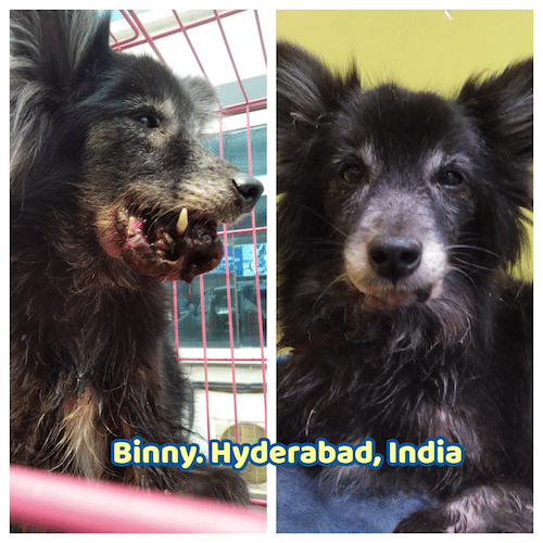 Binny