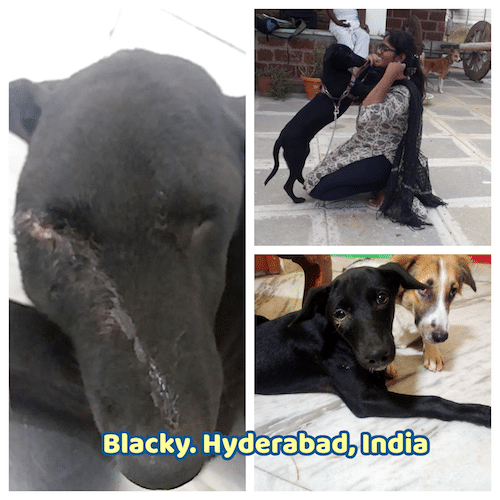 BlackyHyd