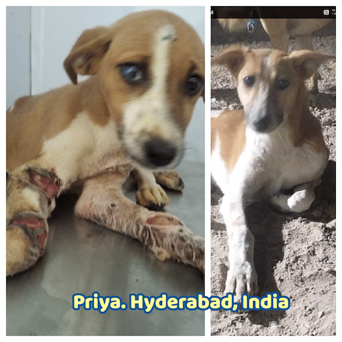 Priya