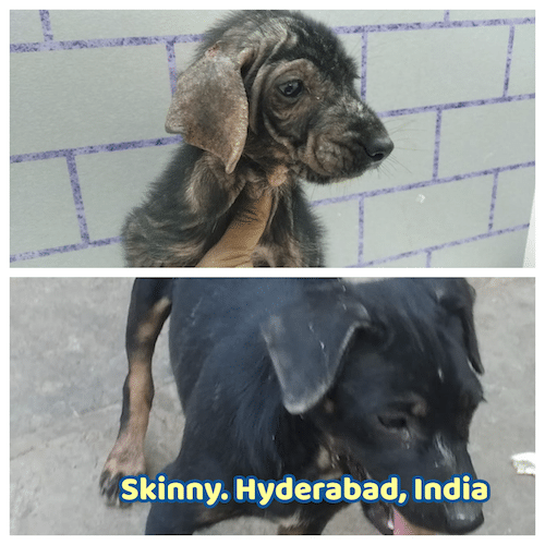 Skinny