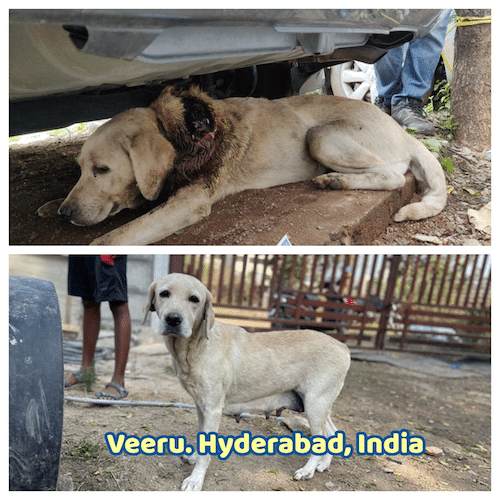Veeru