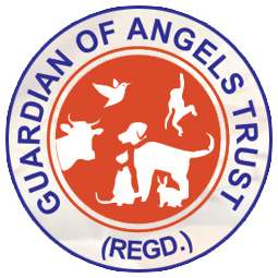 guardians of angels trust guardians of angels trust