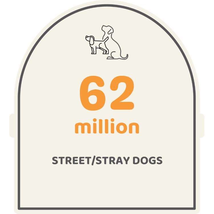 62 million stray dogs in India