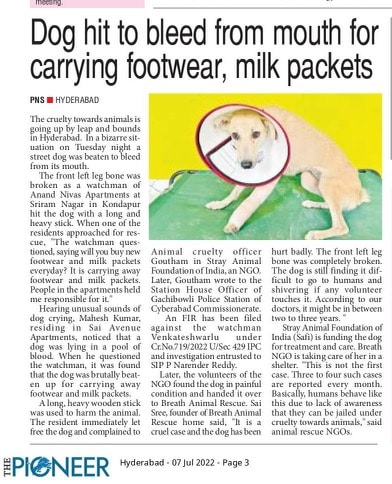Case filed on watchman who had beaten dog for taking shoes and milk packets Case filed on watchman who had beaten dog for taking shoes and milk packets