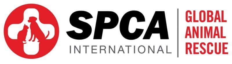 SPCAI logo SPCA International