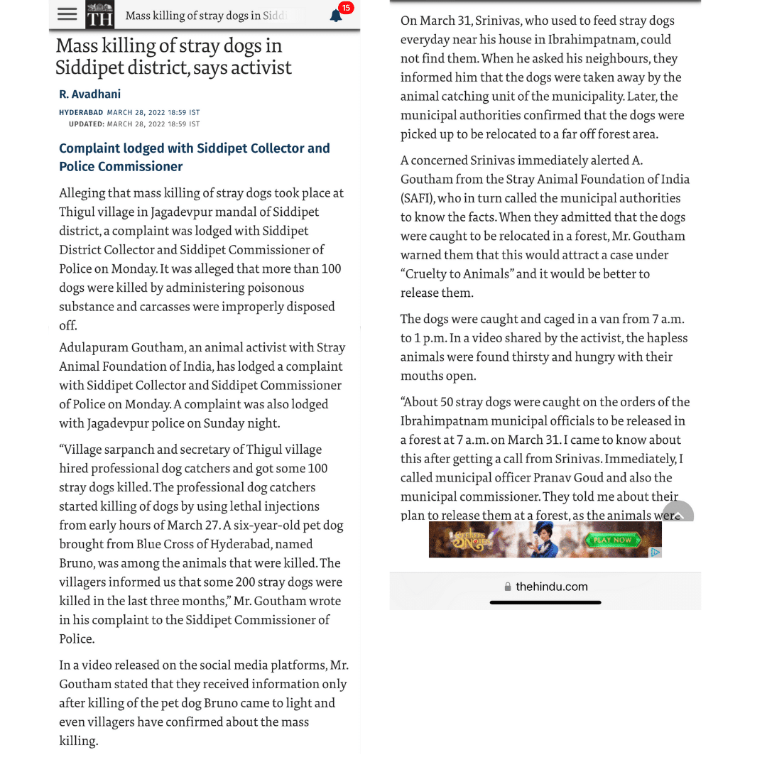 Mass Stray Killing in The Hindu paper Mass Stray Killing in The Hindu paper