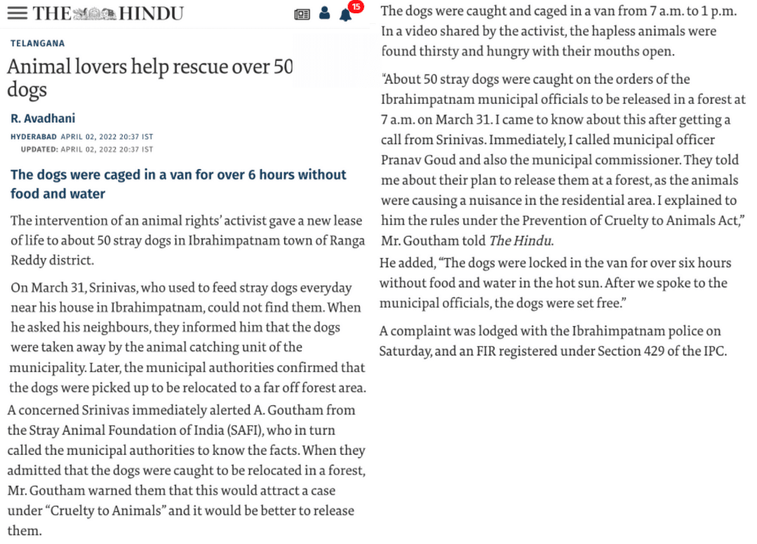 SAFI stopped Stray dog mass Killing The Hindu SAFI stopped Stray dog mass Killing The Hindu