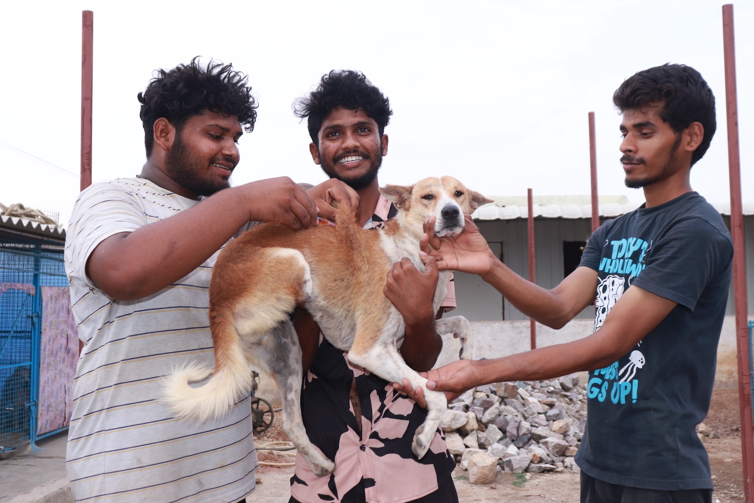 SAFI Rabies Vaccination team vaccinates a stray dog on International Rabies Day.