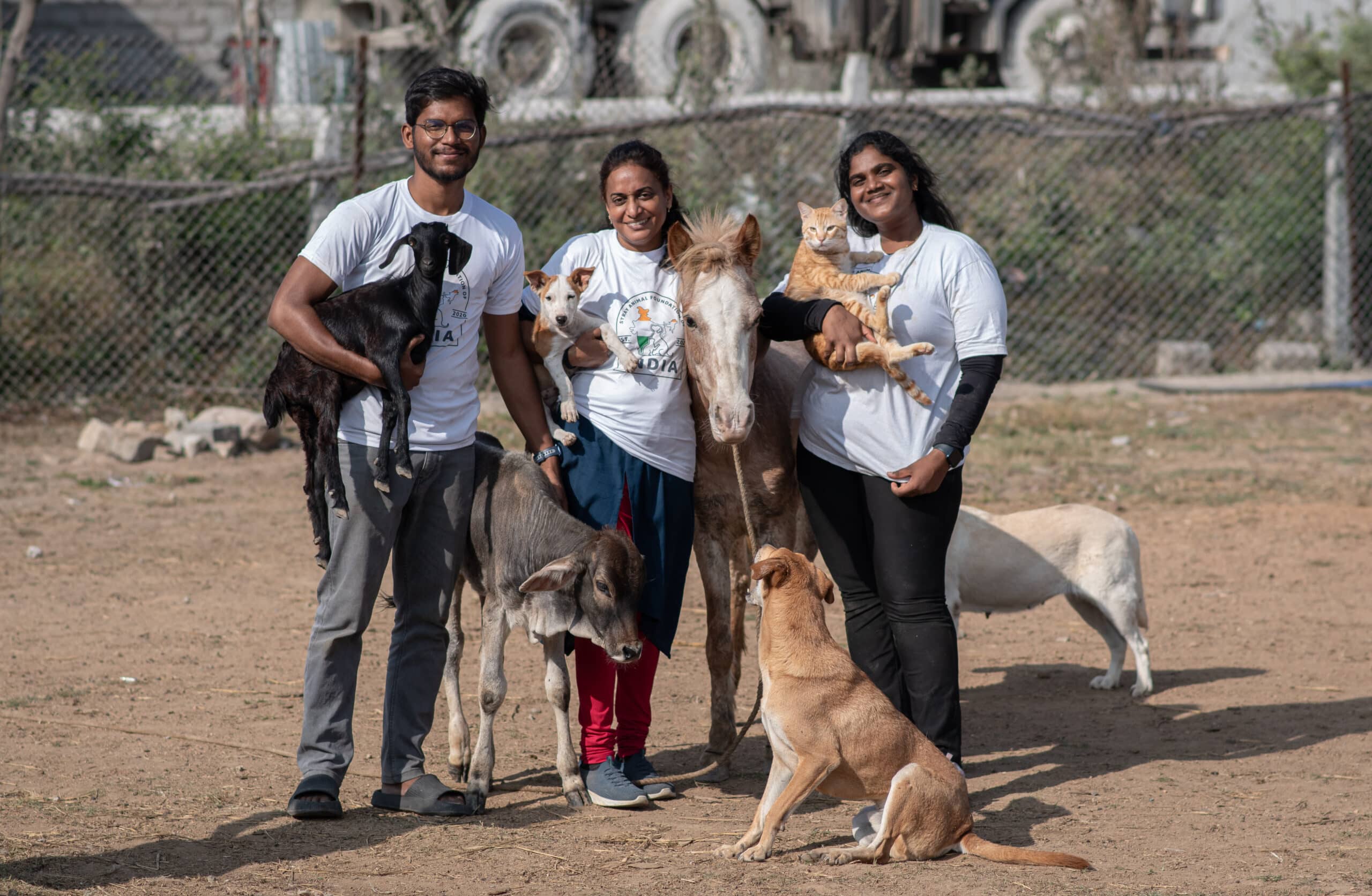 Staff with all animals